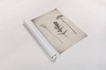 Wildflower Journal Vintage X by Nathan Larson. shown as a rolled paper print. Available as archival giclee rolled canvas, fine art paper, or poster print. SKU 97528h.