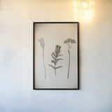 Wildflower Journal Vintage X by Nathan Larson. shown as a paper print in a black flame. Available as a archival giclee rolled canvas, fine art paper, or poster print. SKU 97528h.