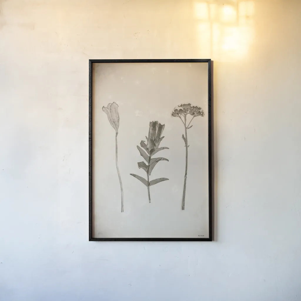 Wildflower Journal Vintage X by Nathan Larson. shown as a paper print in a black flame. Available as a archival giclee rolled canvas, fine art paper, or poster print. SKU 97528h.