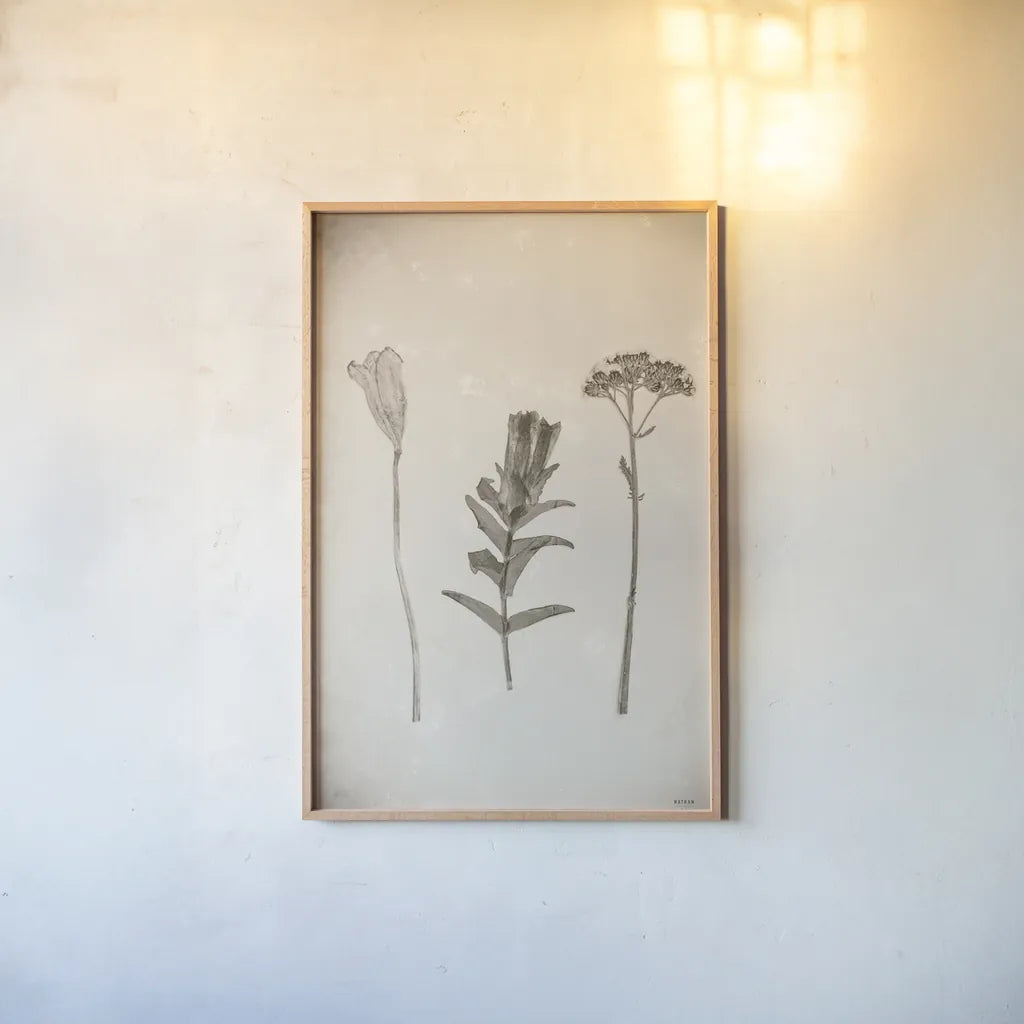 Wildflower Journal Vintage X by Nathan Larson. shown as a paper print in a natural frame. Available as a archival giclee rolled canvas, fine art paper, or poster print. SKU 97528h.