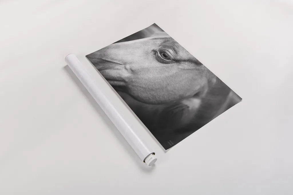 Willow by Nathan Larson. shown as a rolled paper print. Available as archival giclee rolled canvas, fine art paper, or poster print. SKU 97615i.