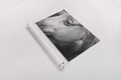 Willow by Nathan Larson. shown as a rolled paper print. Available as archival giclee rolled canvas, fine art paper, or poster print. SKU 97615i.