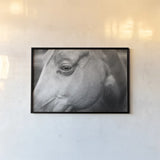 Willow by Nathan Larson. shown as a paper print in a black flame. Available as a archival giclee rolled canvas, fine art paper, or poster print. SKU 97615i.