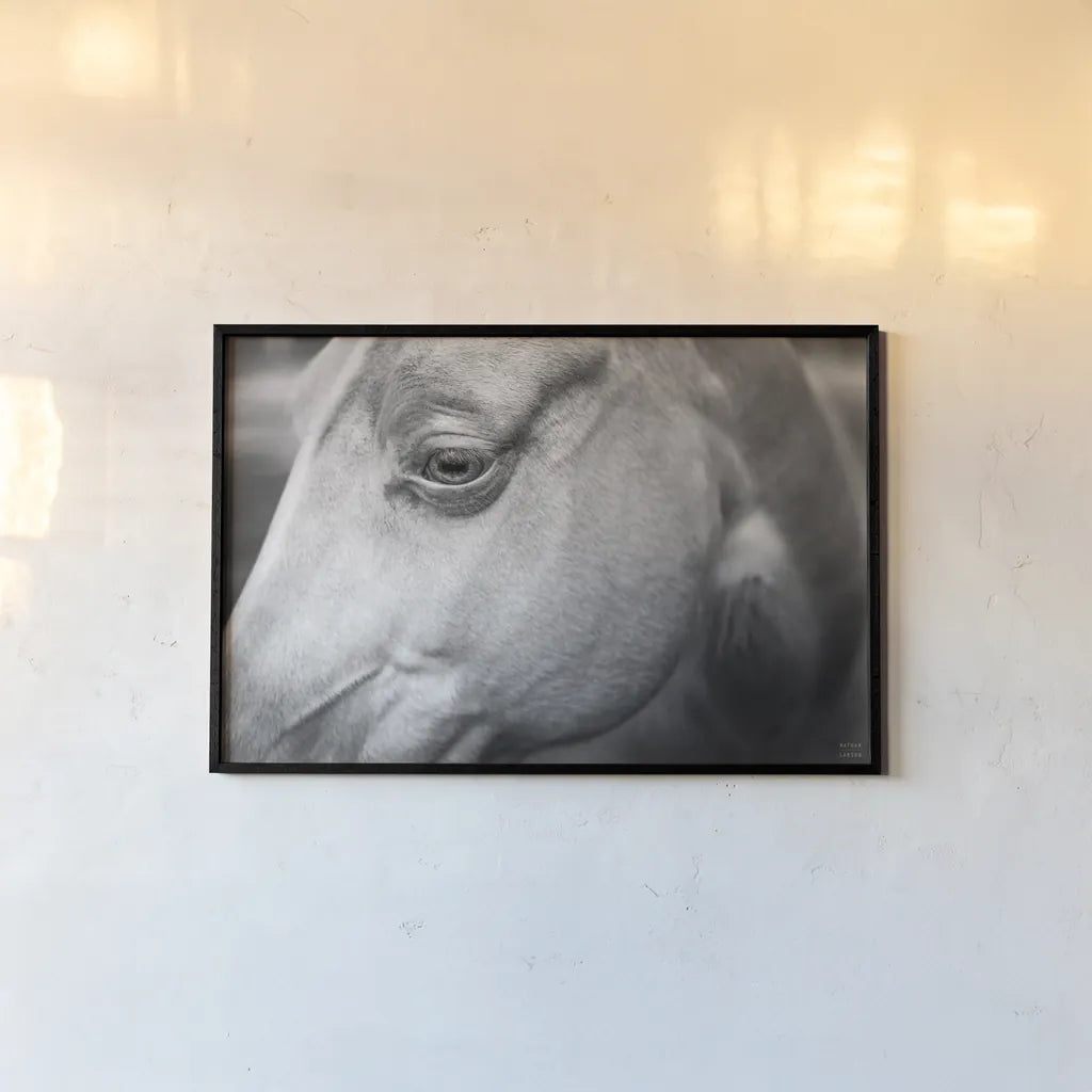 Willow by Nathan Larson. shown as a paper print in a black flame. Available as a archival giclee rolled canvas, fine art paper, or poster print. SKU 97615i.