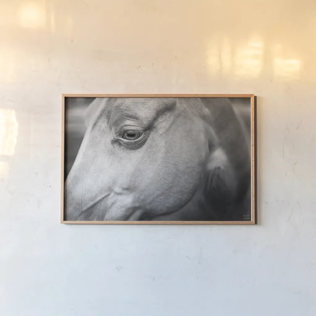 Willow by Nathan Larson. shown as a paper print in a natural frame. Available as a archival giclee rolled canvas, fine art paper, or poster print. SKU 97615i.