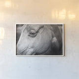 Willow by Nathan Larson. shown as a paper print in a white frame. Available as a archival giclee rolled canvas, fine art paper, or poster print. SKU 97615i.