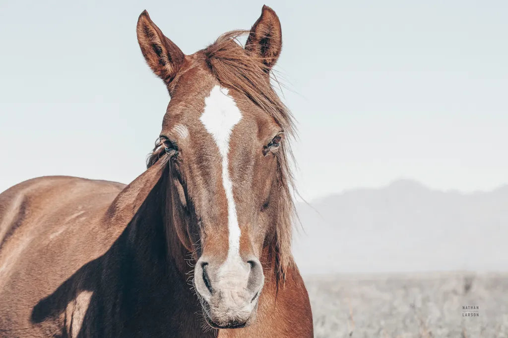 Wind Blown by Nathan Larson. SKU 83663i. Archival Giclee Fine art print for wall decor.