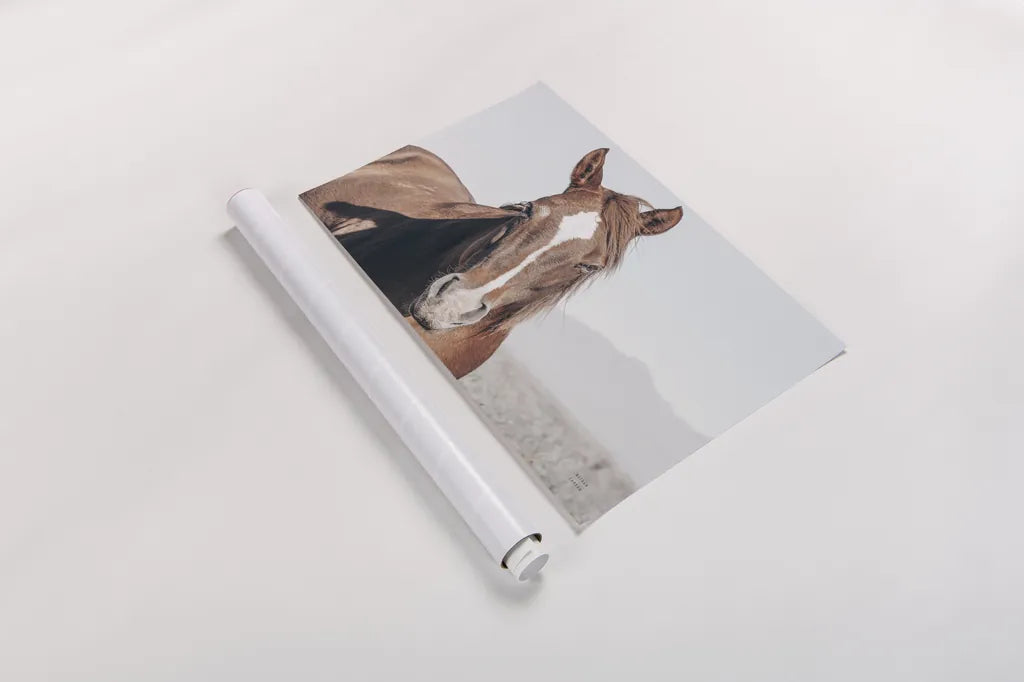 Wind Blown by Nathan Larson. shown as a rolled paper print. Available as archival giclee rolled canvas, fine art paper, or poster print. SKU 83663i.