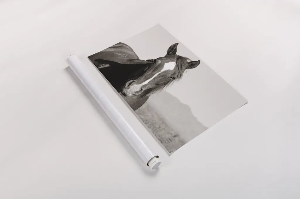 Wind Blown BW by Nathan Larson. shown as a rolled paper print. Available as archival giclee rolled canvas, fine art paper, or poster print. SKU 83664i.