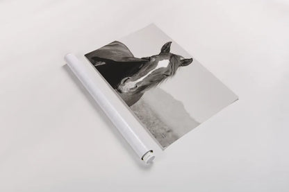 Wind Blown BW by Nathan Larson. shown as a rolled paper print. Available as archival giclee rolled canvas, fine art paper, or poster print. SKU 83664i.