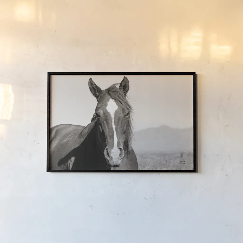 Wind Blown BW by Nathan Larson. shown as a paper print in a black flame. Available as a archival giclee rolled canvas, fine art paper, or poster print. SKU 83664i.