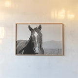 Wind Blown BW by Nathan Larson. shown as a paper print in a natural frame. Available as a archival giclee rolled canvas, fine art paper, or poster print. SKU 83664i.