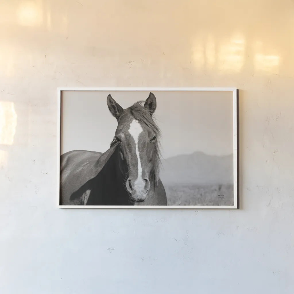 Wind Blown BW by Nathan Larson. shown as a paper print in a white frame. Available as a archival giclee rolled canvas, fine art paper, or poster print. SKU 83664i.