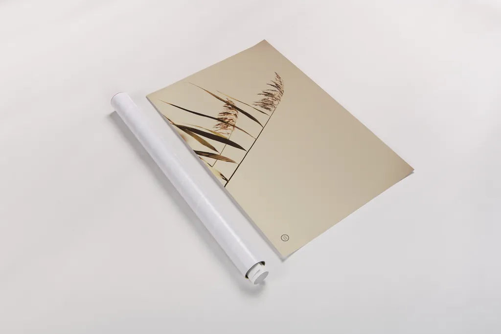 Windswept Grasses by Nathan Larson. shown as a rolled paper print. Available as archival giclee rolled canvas, fine art paper, or poster print. SKU 75476i.