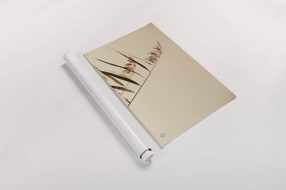 Windswept Grasses by Nathan Larson. shown as a rolled paper print. Available as archival giclee rolled canvas, fine art paper, or poster print. SKU 75476i.