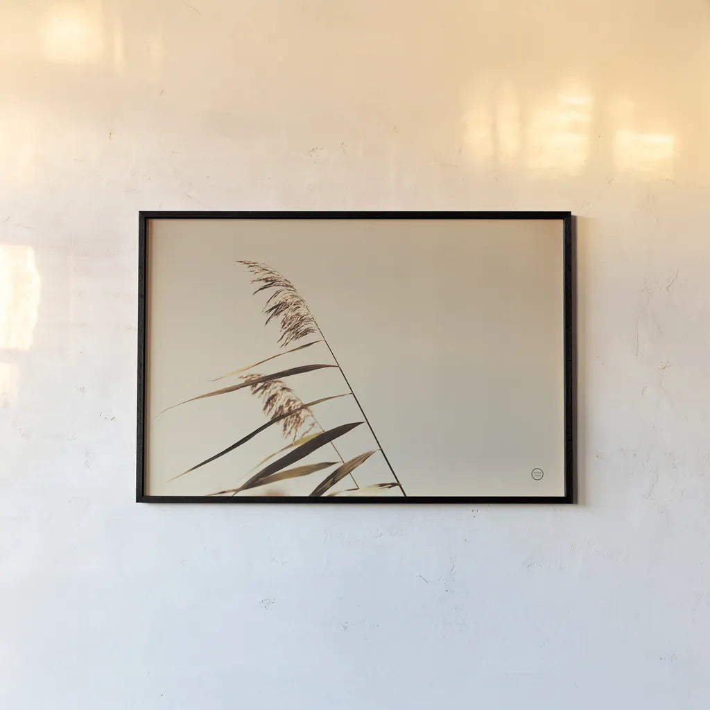 Windswept Grasses by Nathan Larson. shown as a paper print in a black flame. Available as a archival giclee rolled canvas, fine art paper, or poster print. SKU 75476i.
