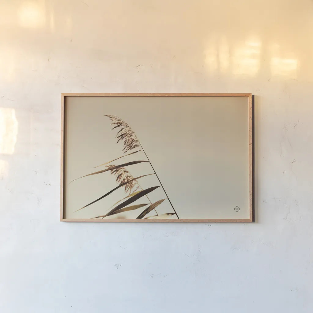 Windswept Grasses by Nathan Larson. shown as a paper print in a natural frame. Available as a archival giclee rolled canvas, fine art paper, or poster print. SKU 75476i.