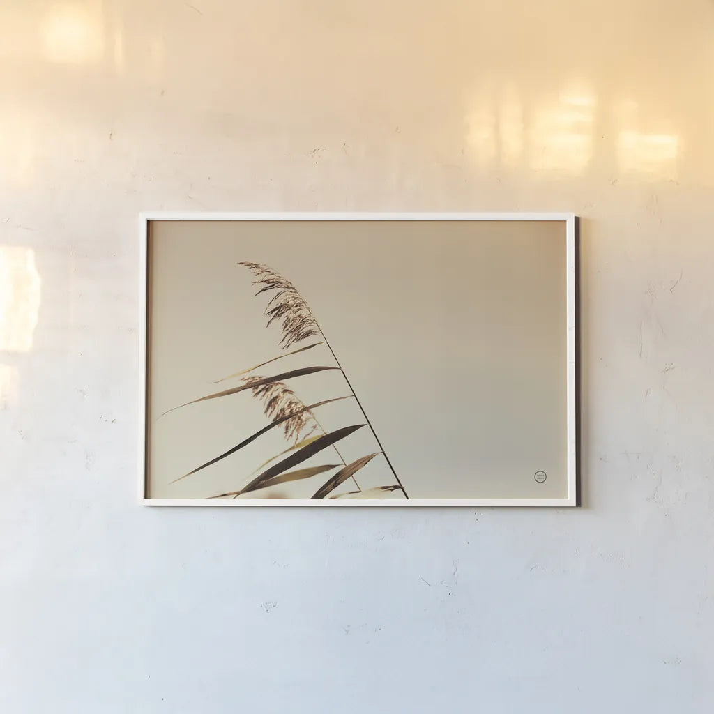 Windswept Grasses by Nathan Larson. shown as a paper print in a white frame. Available as a archival giclee rolled canvas, fine art paper, or poster print. SKU 75476i.