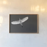 Wing Light by Nathan Larson. shown as a paper print in a natural frame. Available as a archival giclee rolled canvas, fine art paper, or poster print. SKU 97887i.