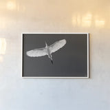 Wing Light by Nathan Larson. shown as a paper print in a white frame. Available as a archival giclee rolled canvas, fine art paper, or poster print. SKU 97887i.