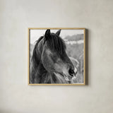 Winter Horse I by Nathan Larson. Shown in a natural wood glass frame for a timeless modern aesthetic. Available as an archival giclee rolled canvas, fine art paper, or poster print. SKU 76534a.