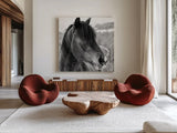Winter Horse I by Nathan Larson. Shown as extra-large giant wall art in a modern living room. Available as an archival giclee rolled canvas, fine art paper, or poster print. SKU 76534a.