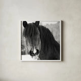 Winter Horse II by Nathan Larson. Shown in a crisp white glass frame for a clean and minimalist style. Available as an archival giclee rolled canvas, fine art paper, or poster print. SKU 76535a.