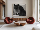 Winter Horse II by Nathan Larson. Shown as extra-large giant wall art in a modern living room. Available as an archival giclee rolled canvas, fine art paper, or poster print. SKU 76535a.
