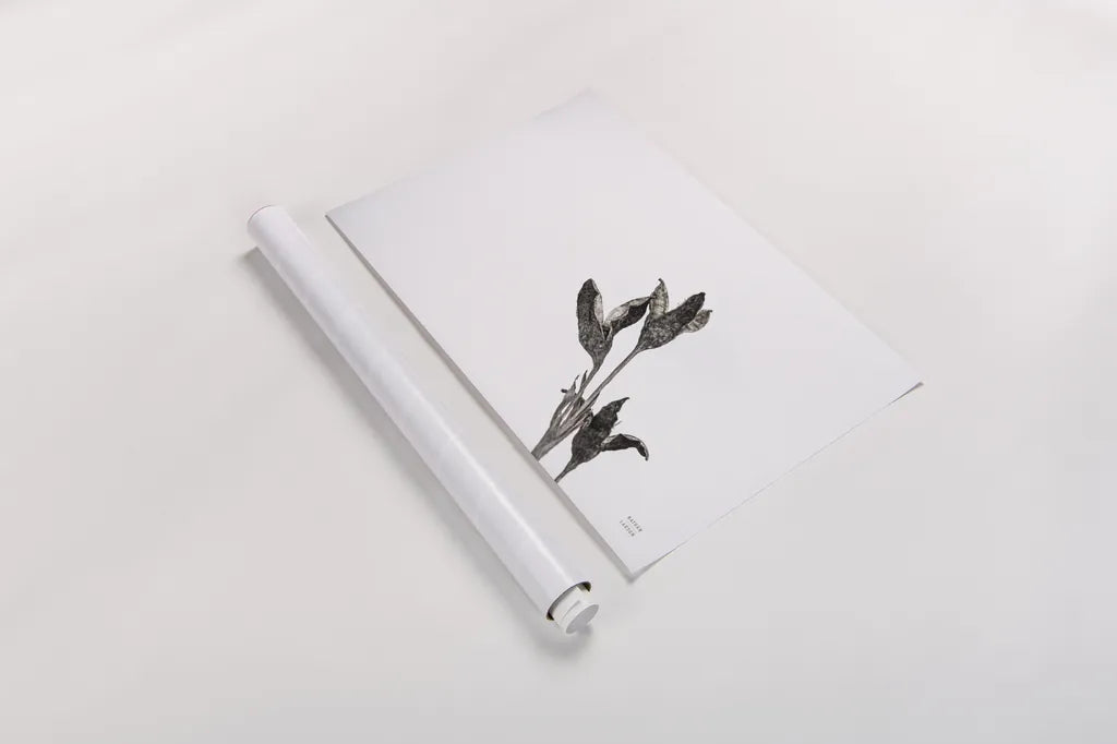 Winter Rebirth by Nathan Larson. shown as a rolled paper print. Available as archival giclee rolled canvas, fine art paper, or poster print. SKU 82304i.