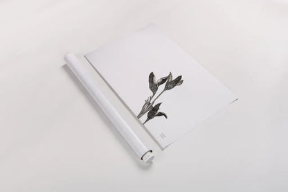 Winter Rebirth by Nathan Larson. shown as a rolled paper print. Available as archival giclee rolled canvas, fine art paper, or poster print. SKU 82304i.