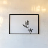 Winter Rebirth by Nathan Larson. shown as a paper print in a black flame. Available as a archival giclee rolled canvas, fine art paper, or poster print. SKU 82304i.
