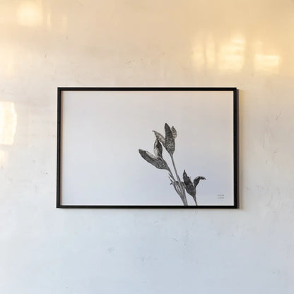 Winter Rebirth by Nathan Larson. shown as a paper print in a black flame. Available as a archival giclee rolled canvas, fine art paper, or poster print. SKU 82304i.