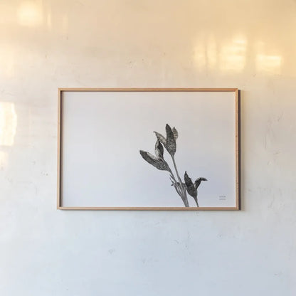 Winter Rebirth by Nathan Larson. shown as a paper print in a natural frame. Available as a archival giclee rolled canvas, fine art paper, or poster print. SKU 82304i.