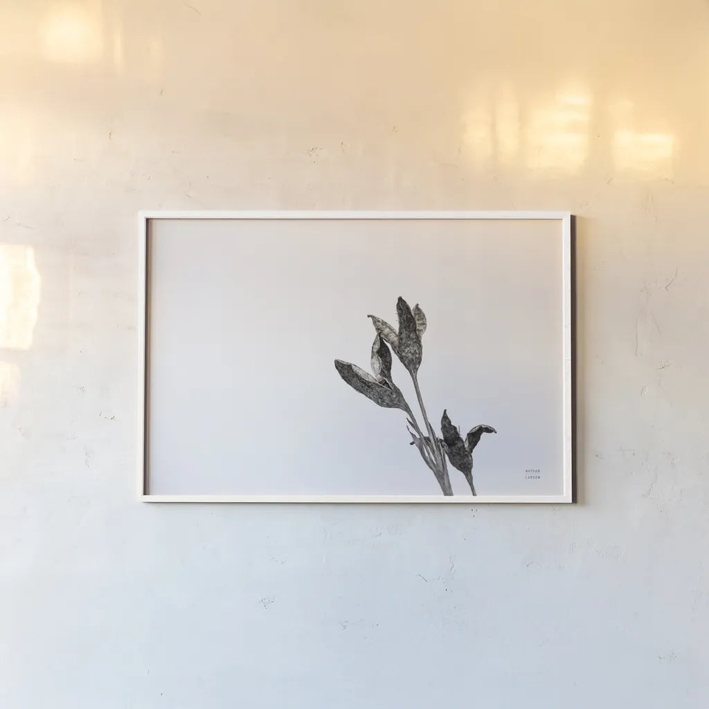 Winter Rebirth by Nathan Larson. shown as a paper print in a white frame. Available as a archival giclee rolled canvas, fine art paper, or poster print. SKU 82304i.