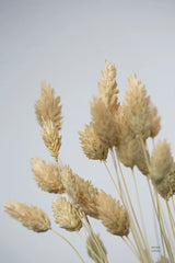 Wistful by Nathan Larson. SKU 77889h. Archival Giclee Fine art print for wall decor.