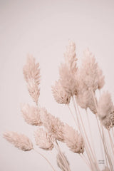 Wistful Neutral by Nathan Larson. SKU 77891h. Archival Giclee Fine art print for wall decor.