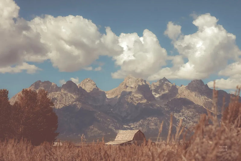 Wyoming Mountain Lazy Days by Nathan Larson. SKU 92600i. Archival Giclee Fine art print for wall decor.