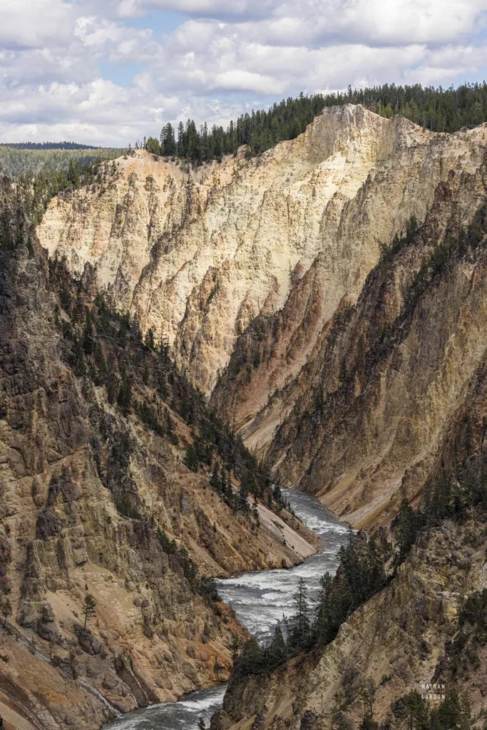 Yellowstone Summer by Nathan Larson. SKU 92471h. Archival Giclee Fine art print for wall decor.