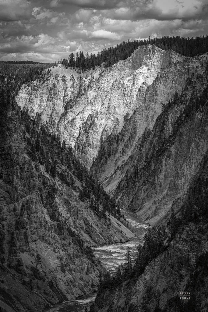 Yellowstone Summers Black and White by Nathan Larson. SKU 92472h. Archival Giclee Fine art print for wall decor.