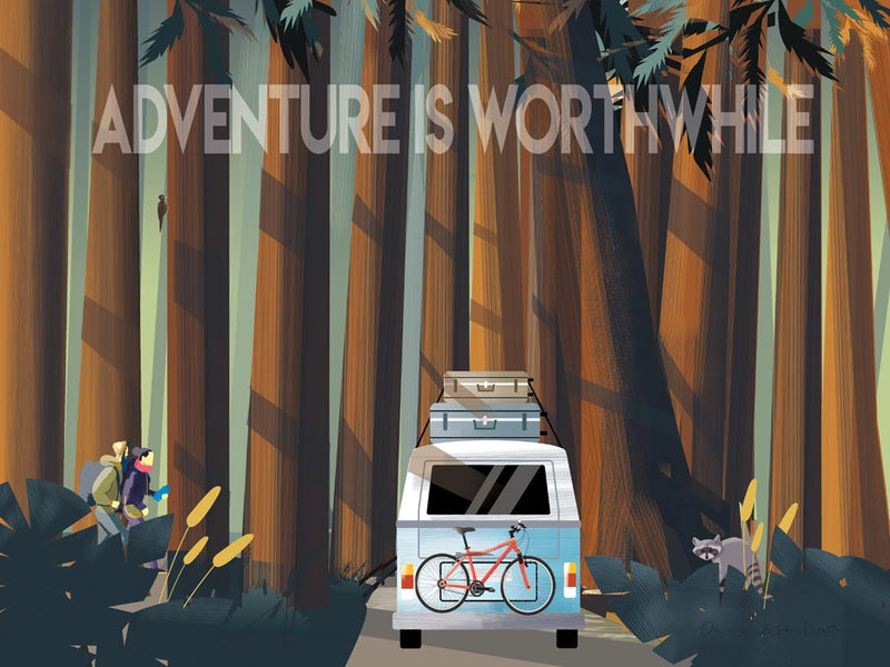 Into the Woods by Omar Escalante