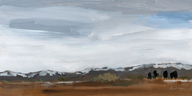 Alamosa Late March by Pamela Munger