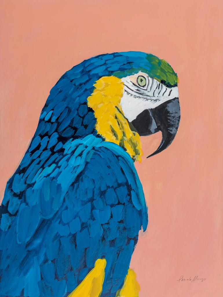 Blue and Gold Macaw by Pamela Munger