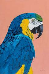 Blue and Gold Macaw Crop by Pamela Munger. SKU 69770h. Archival Giclee Fine art print for wall decor.