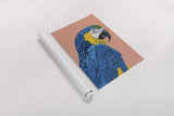 Blue and Gold Macaw Crop by Pamela Munger. shown as a rolled paper print. Available as archival giclee rolled canvas, fine art paper, or poster print. SKU 69770h.
