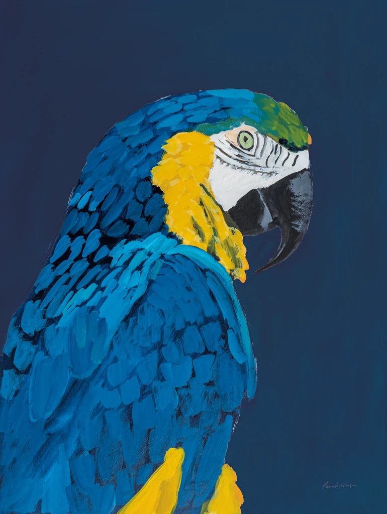 Blue and Gold Macaw Navy by Pamela Munger