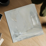Delicate Gray by Pamela Munger. Shown as a detailed flat fine art print, highlighting archival giclee quality. Available as an archival giclee rolled canvas, fine art paper, or poster print. SKU 68967a.