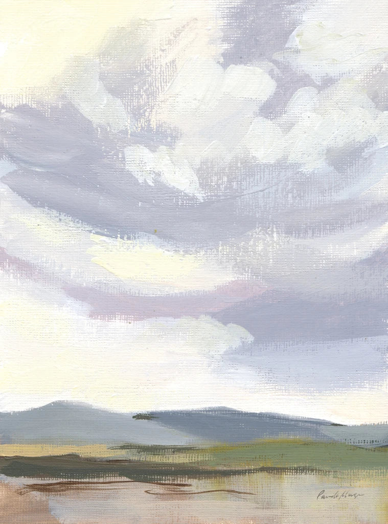 May Sky by Pamela Munger