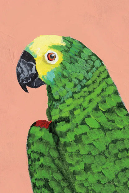 Parrot Head Crop by Pamela Munger. SKU 72776h. Archival Giclee Fine art print for wall decor.