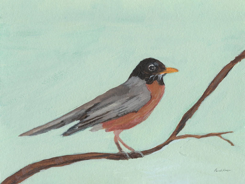 Robin by Pamela Munger