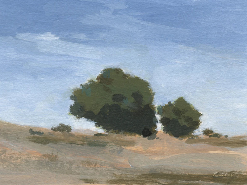 Sky Backdrop by Pamela Munger